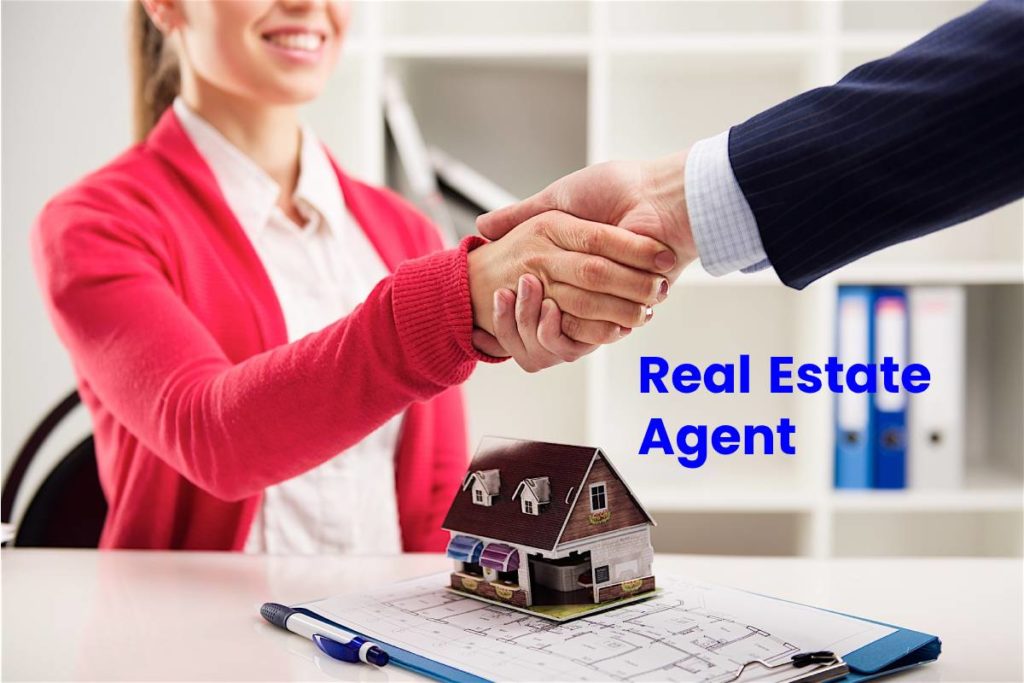 real estate agent