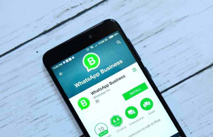 whatsapp business