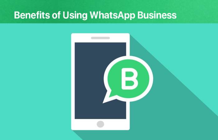 whatsapp business