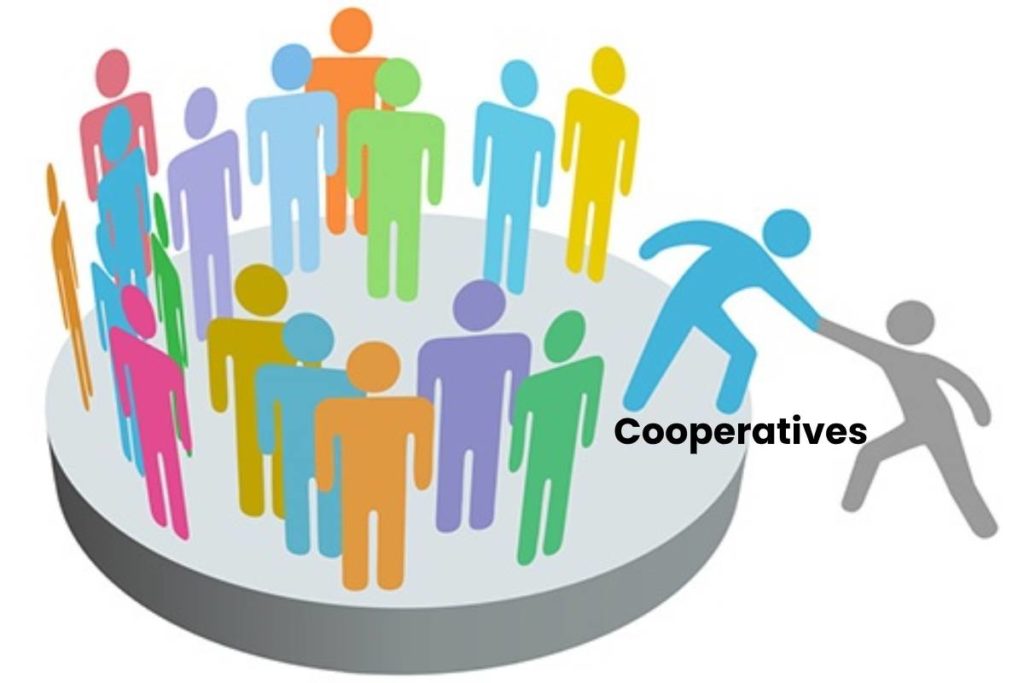 What are Cooperatives? Types, Structure, and More