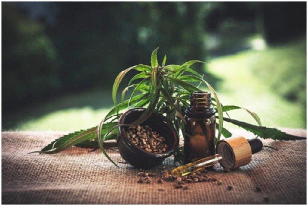 CBD Oil
