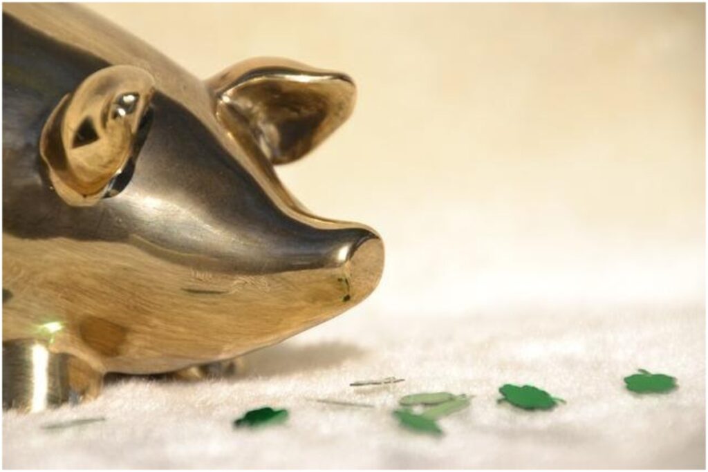 Gold IRA Comparison : Things To Know Before Investing For The Future Gold IRA