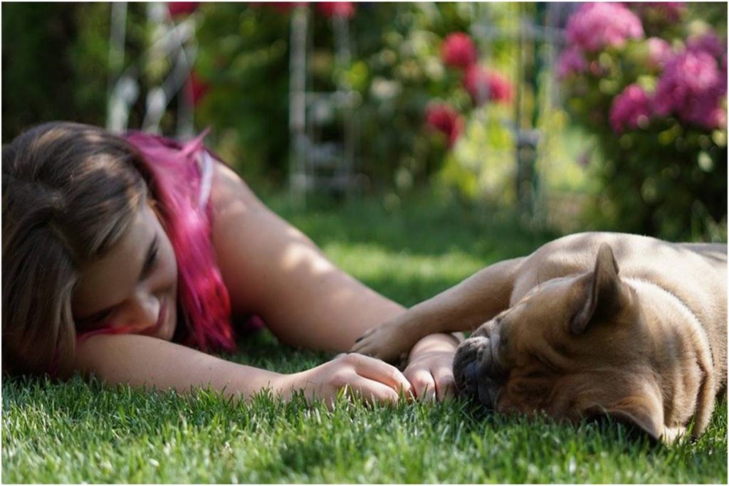 What Dog Breeds Are Right For You?