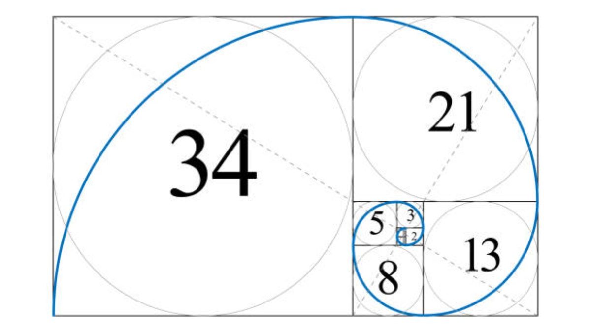 What Are The Basic Things Which You Need To Know About The Concept Of Fibonacci Numbers And Sequence?