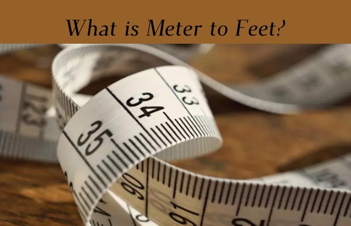 https://www.globalmarketingguide.com/how-many-feet-in-25-m-2022/