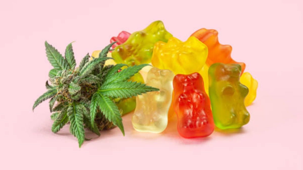 How to Get Wholesale Private Label CBD Gummies