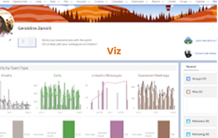 Viz