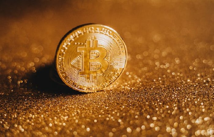 W3techpanel.com Crypto