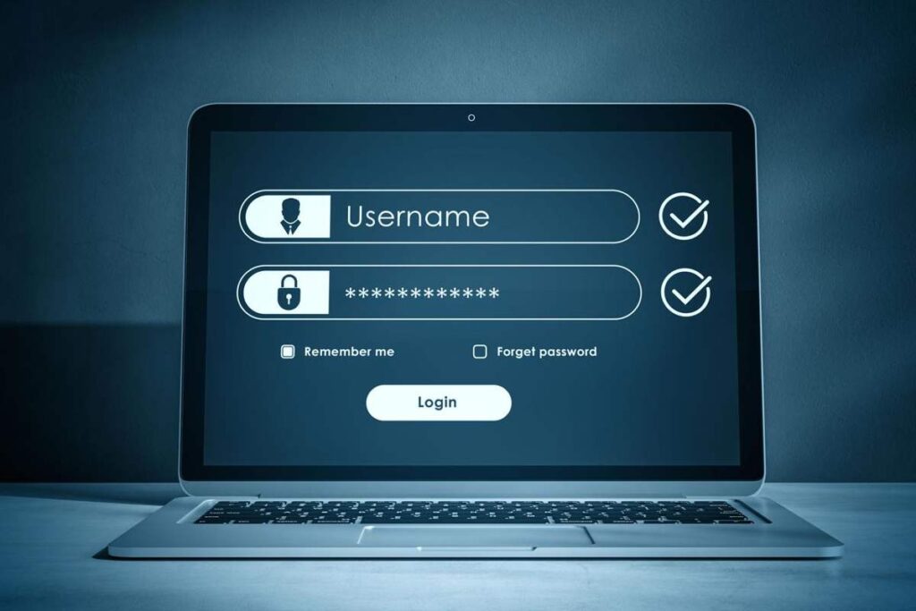 User accessing secure online login portal on laptop